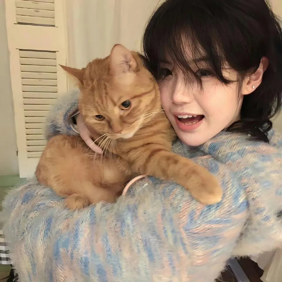 成年人的谎言生活