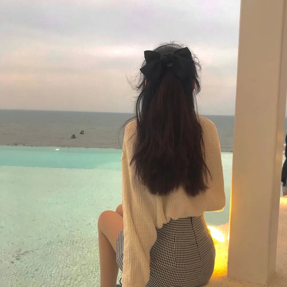 城市猎人：保镖密令